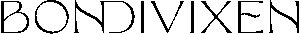 Bondi Vixien logo